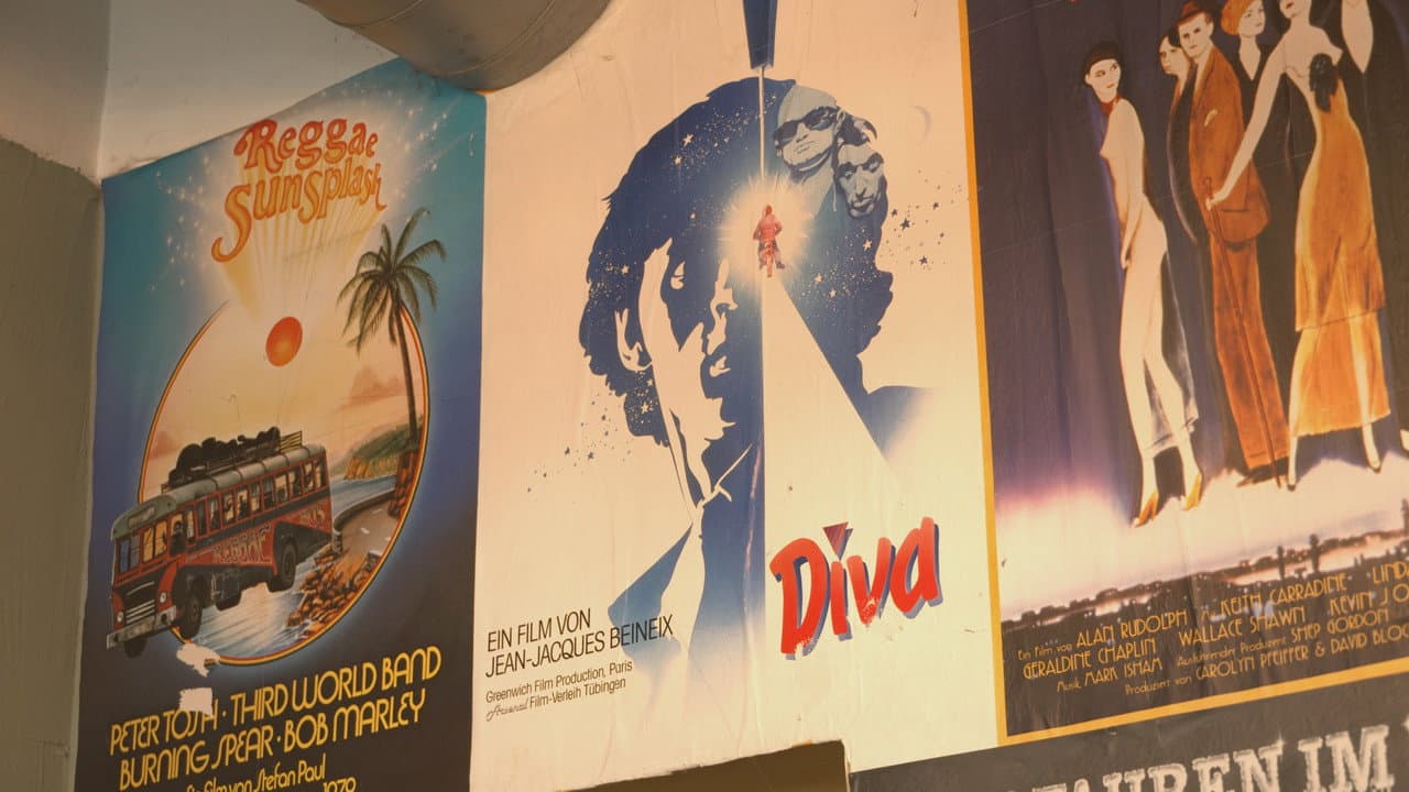 Cinema Lives – Arthouse Theatres in Germany