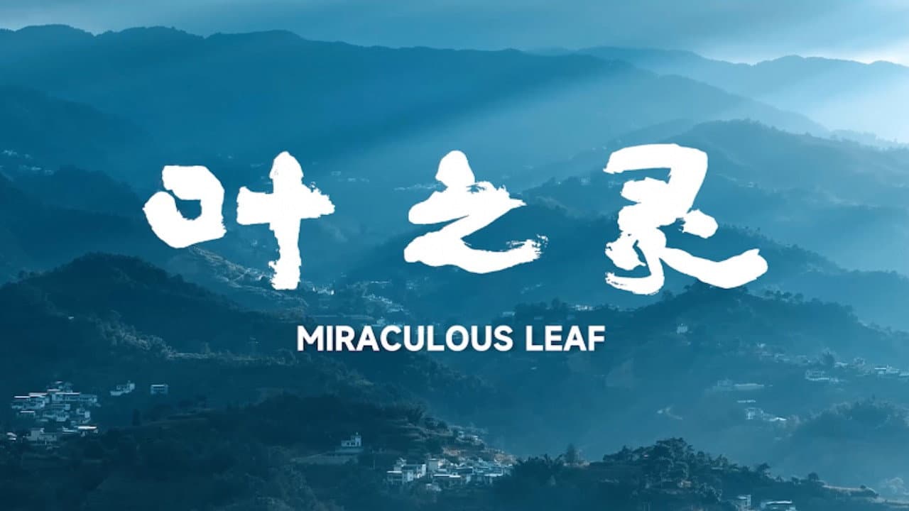 Miraculous Leaf