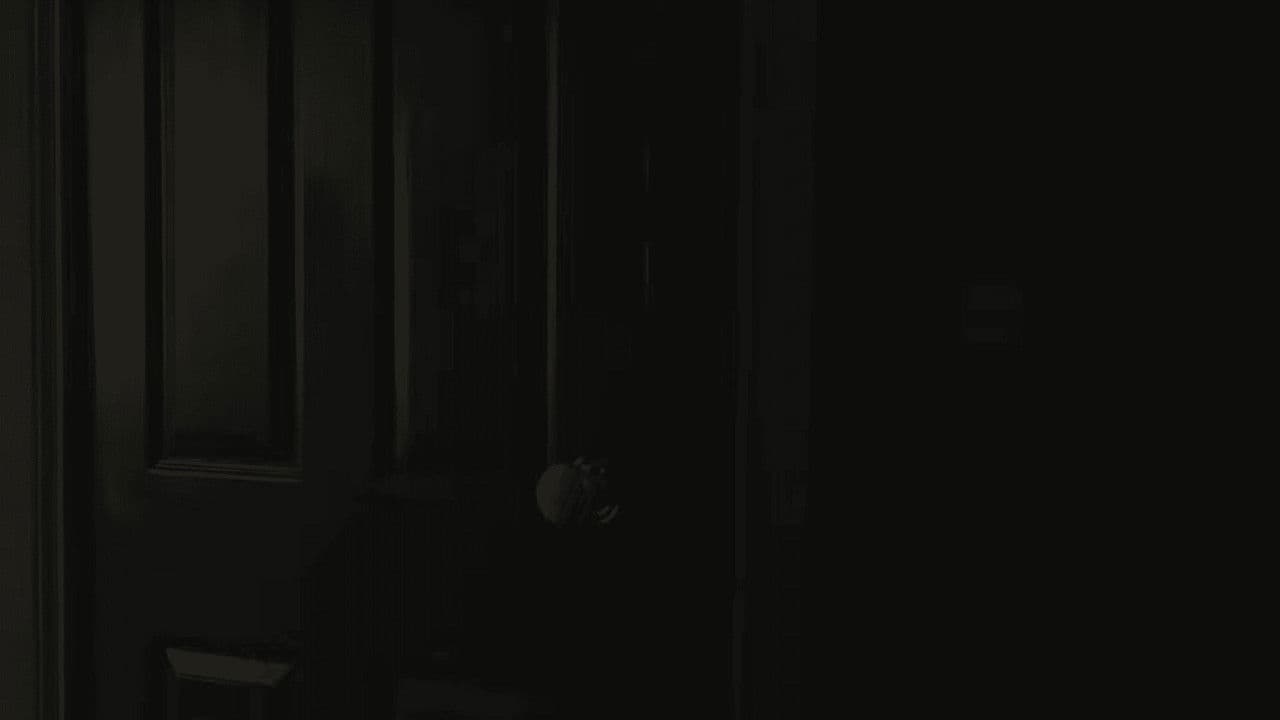 Johnny likes to read