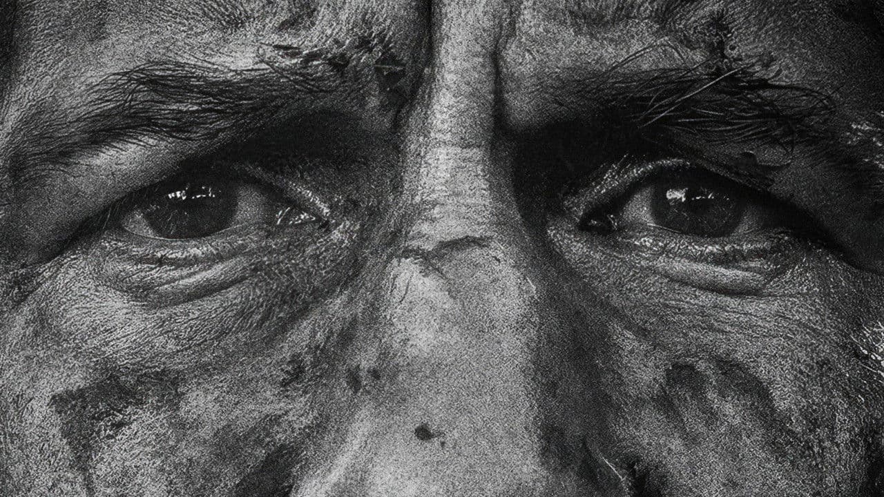 The Punisher: One Last Kill