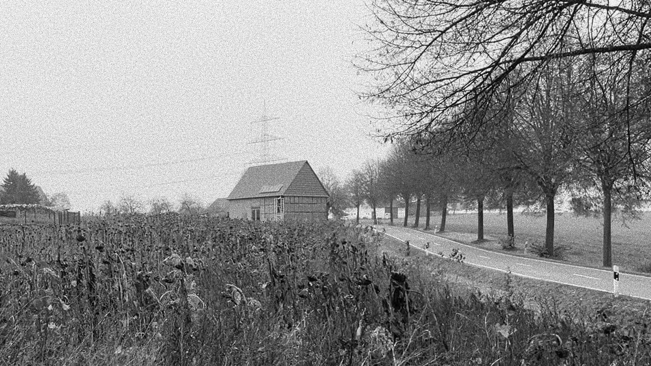 sie schaute in die ferne