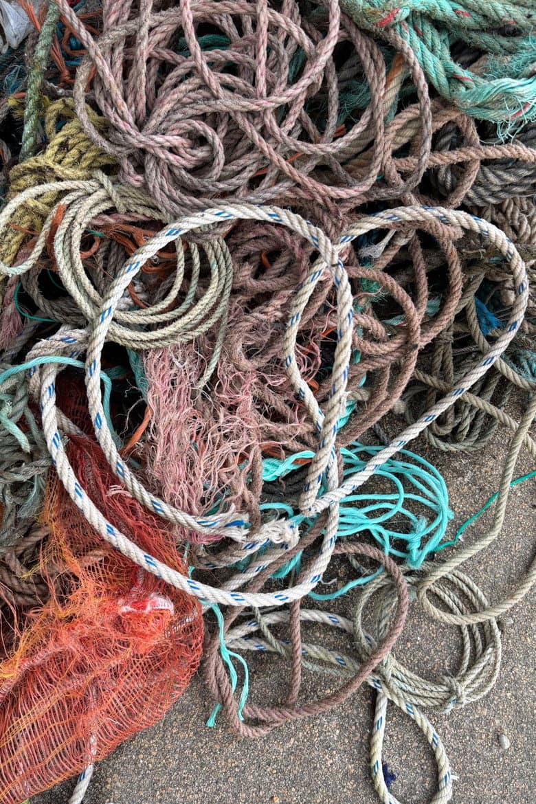 Redeiras de A Guarda