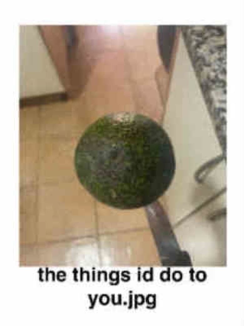 the things id do to you