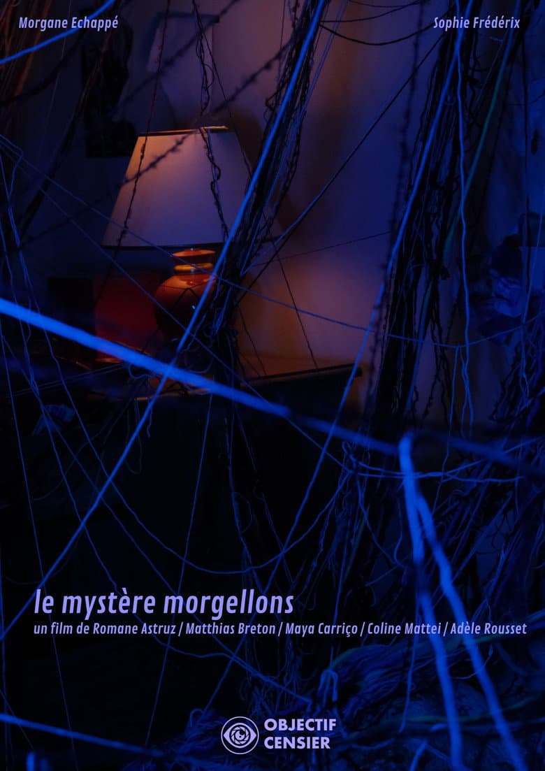The Mystery of Morgellons