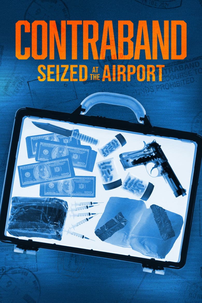 Contraband: Seized at the Airport